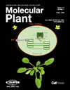 Molecular Plant杂志封面